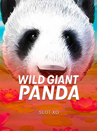 Wild Giant Panda Slotxo ทดลองเล่นฟรี